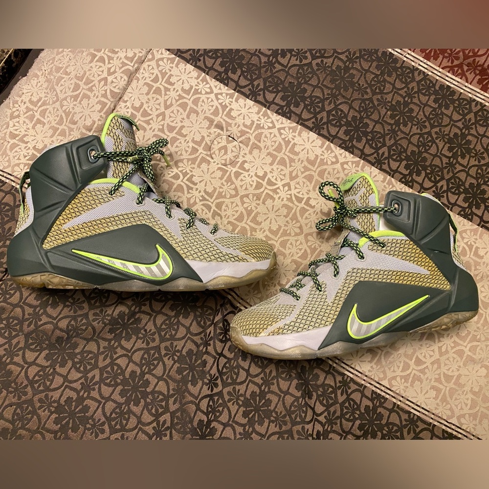 LeBron 12 GS 'Dunkman'